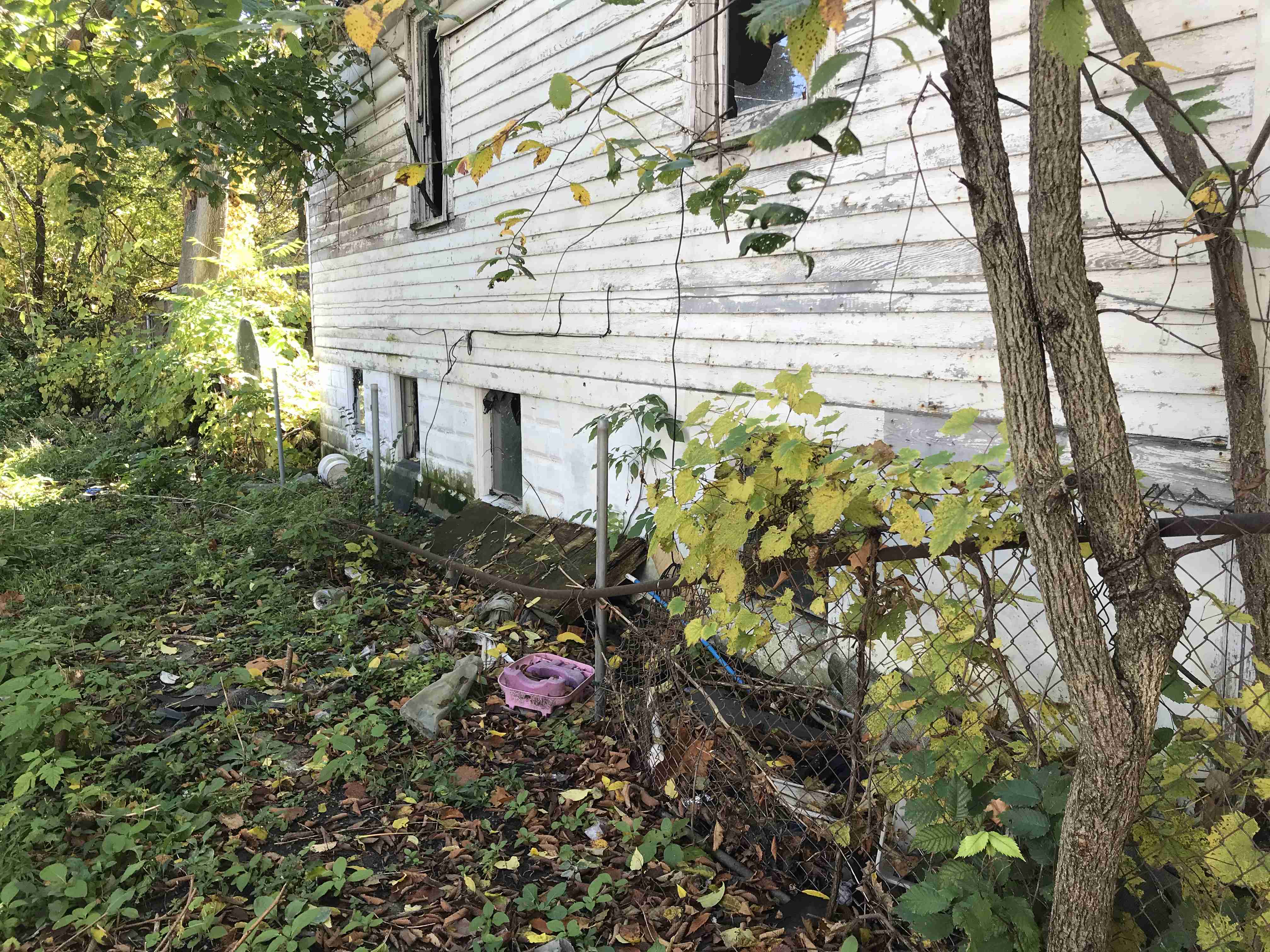 Photo Oct 13, 11 36 14 AM.jpg